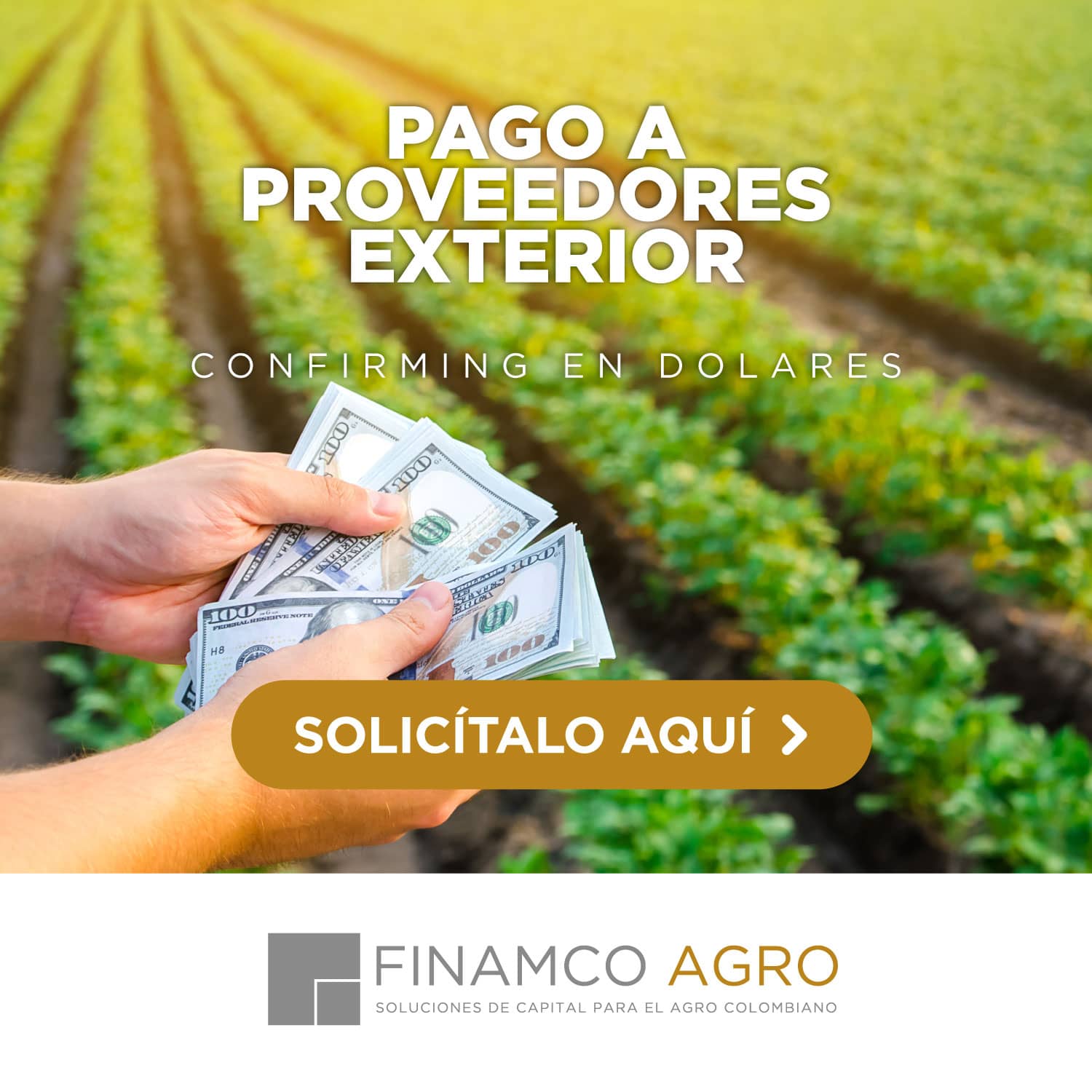 Pago a Proveedores Exterior | Confirming en Dólares