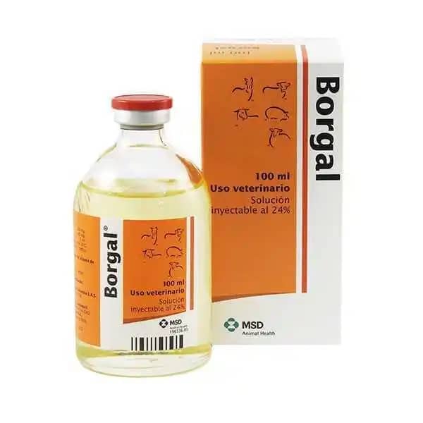 Antibiótico Borgal 24% x 30 Ml