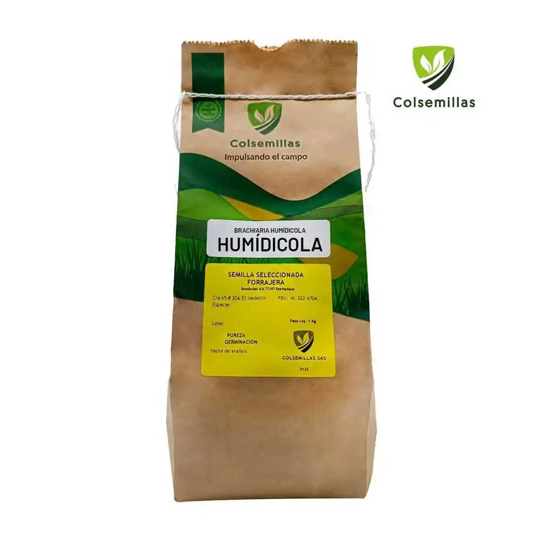 Pasto Brachiaria Humídicola CV Humídicola x 1kg