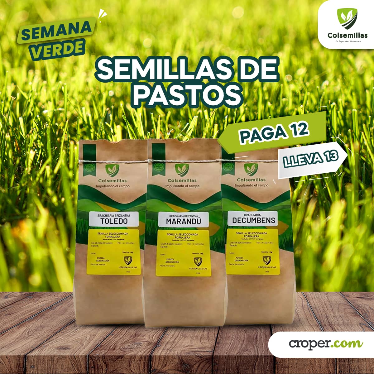 PROMOCI脫N Semillas de Pastos pague 12 Lleve 13