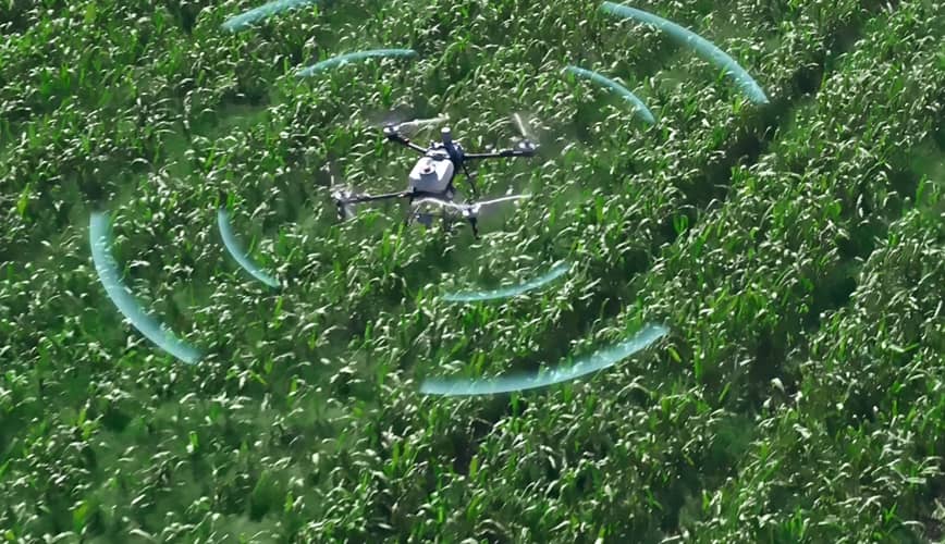 DJI Agras T70P: Dron Agrícola Eficiente y Versátil