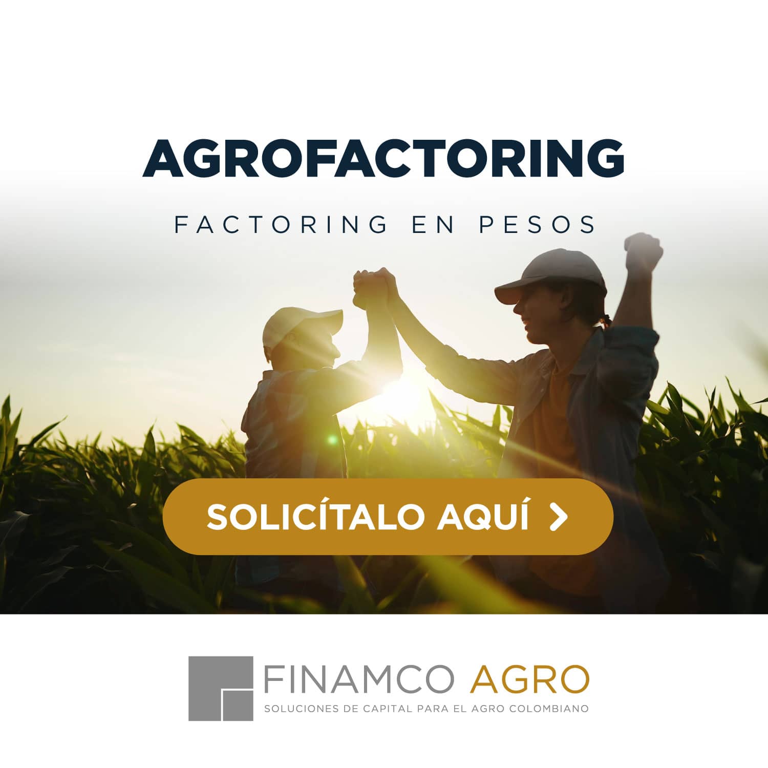 AgroFactoring | Factoring en Pesos