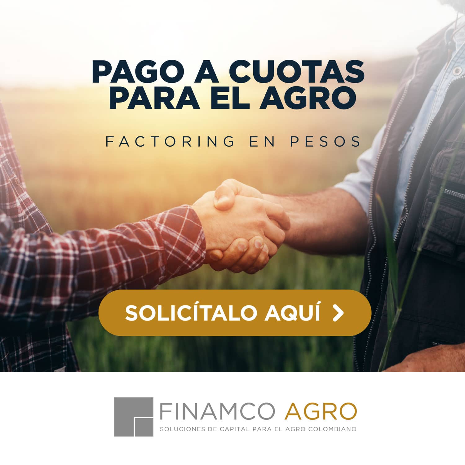Pago a Cuotas para el AGRO | Factoring en Pesos
