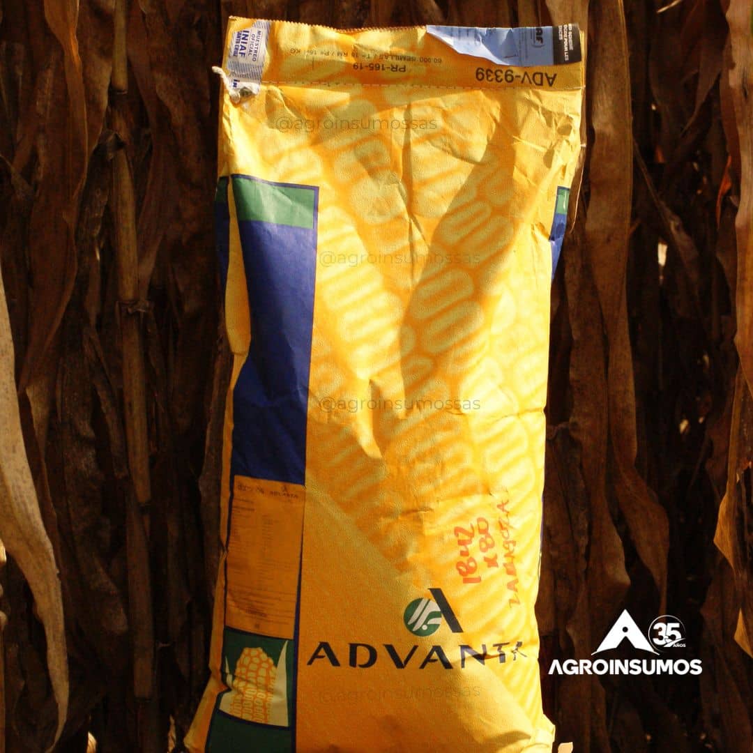 Semilla de Maíz Amarillo Convencional ADV 9339 – Alta Calidad