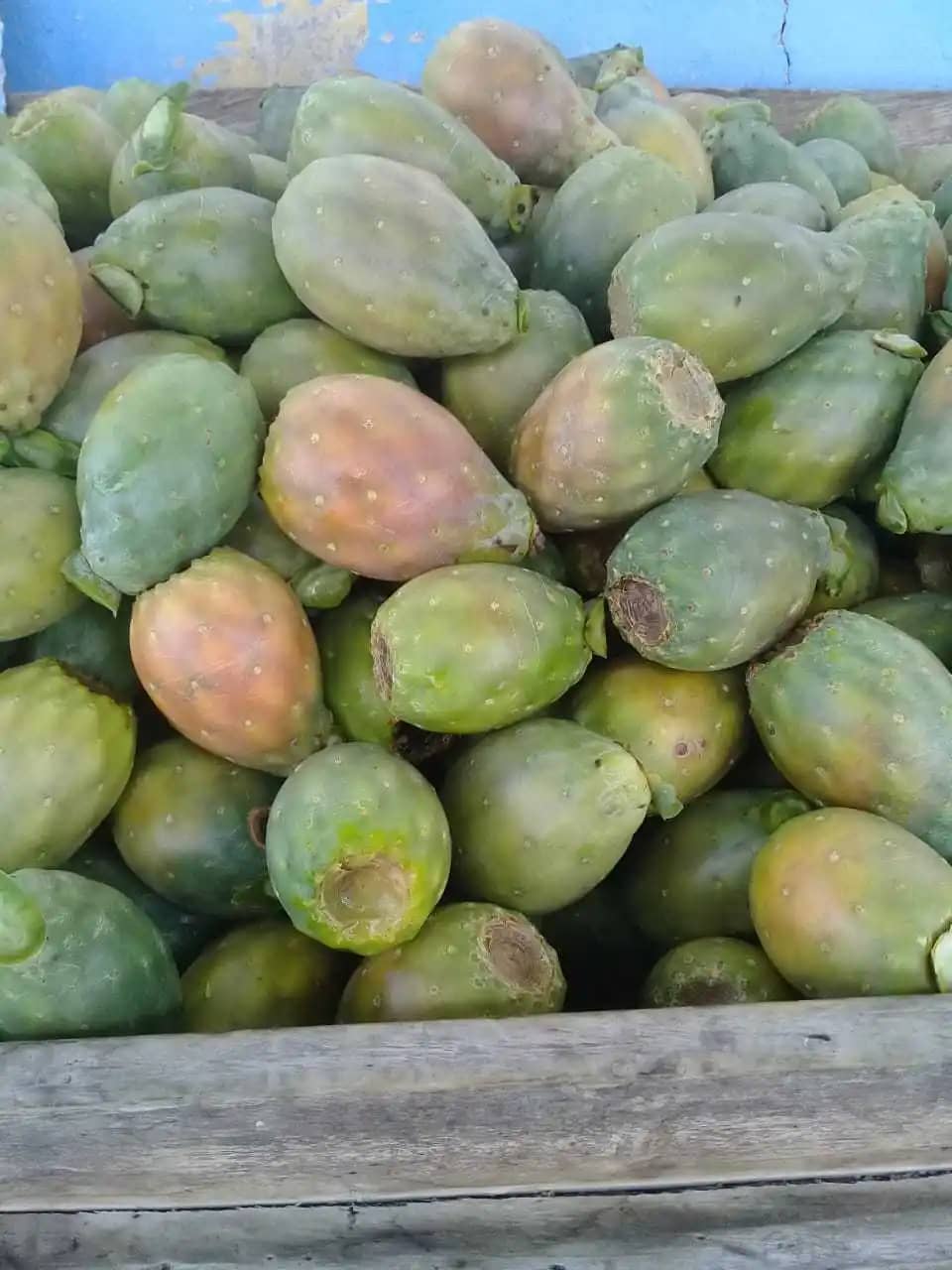 Venta de Higo Ivan Hincapié X cajas de 25 Kg