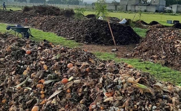 Abono Orgánico Compostado