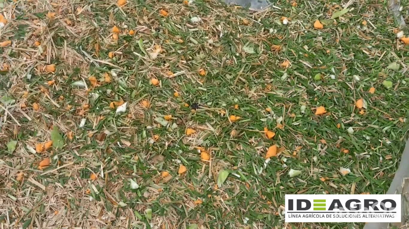 Picapasto y Trituradora 7.5HP Forraje Ganadería