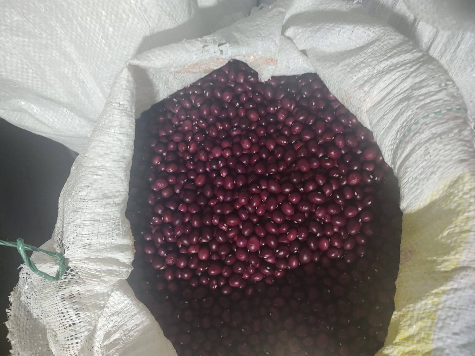 Frijol Bola Roja x 50 Kg