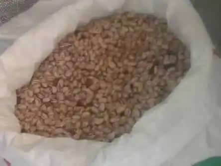 Venta de Fríjol cargamanto X Bulto de 70 Kg