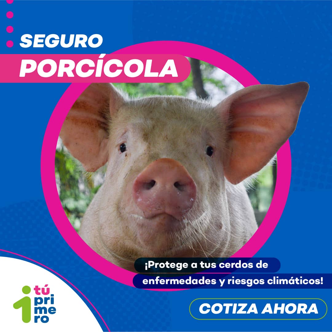 Seguro Porcícola