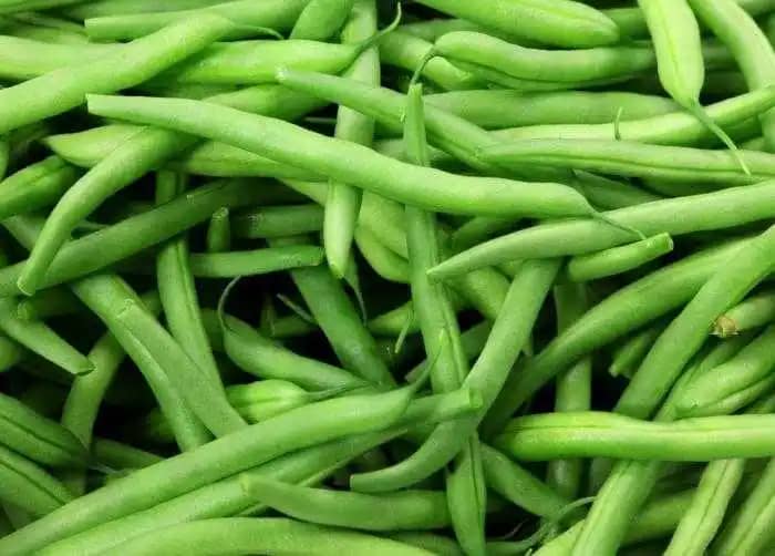 Venta de Habichuela X 20 Kg