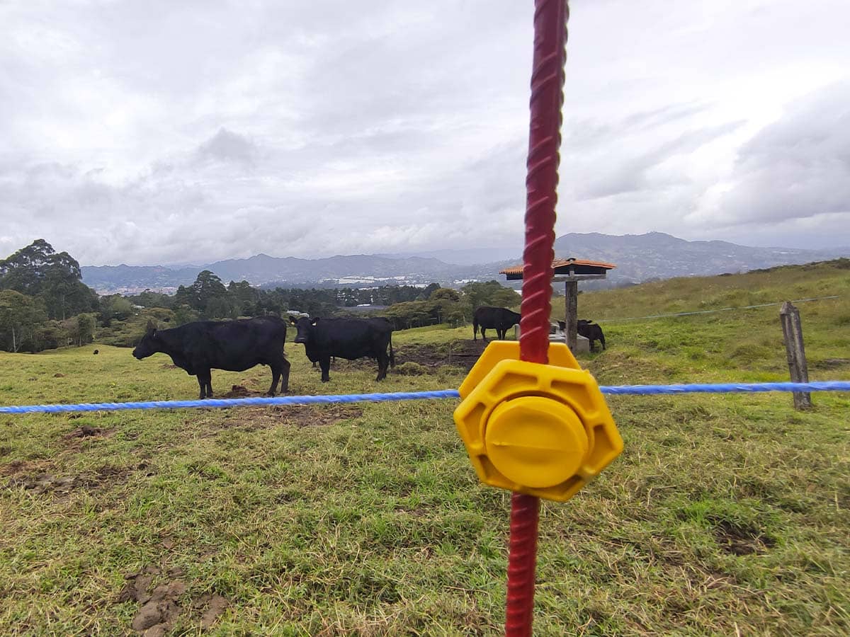 Varilla para Cerca Móvil - Resistente y Fácil de Instalar