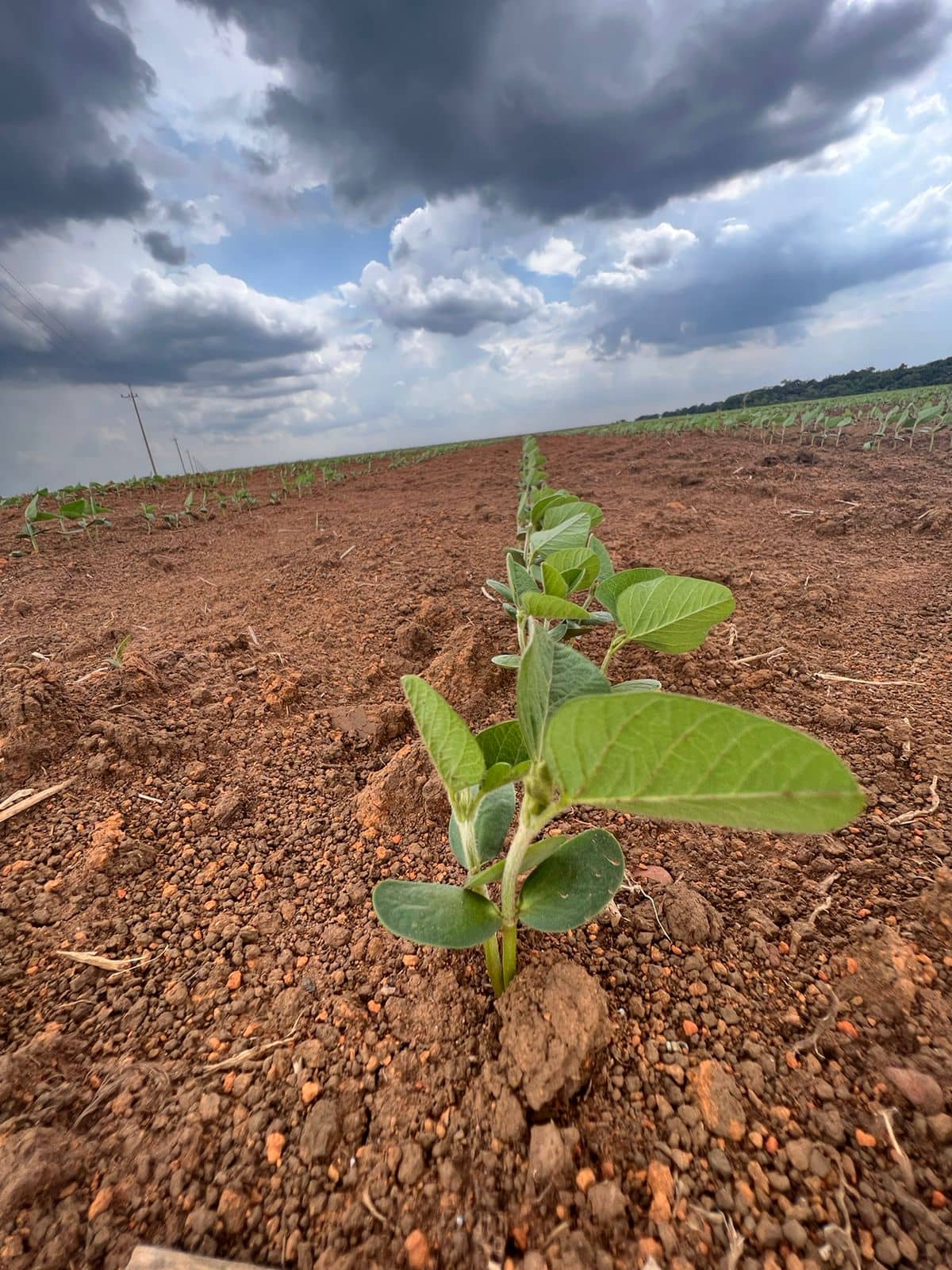 WhatsApp Image 2023-10-06 at 8.34.29 AM.jpeg