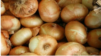 Cebolla Blanca