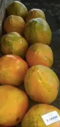 Venta de Papaya X 3 Toneladas