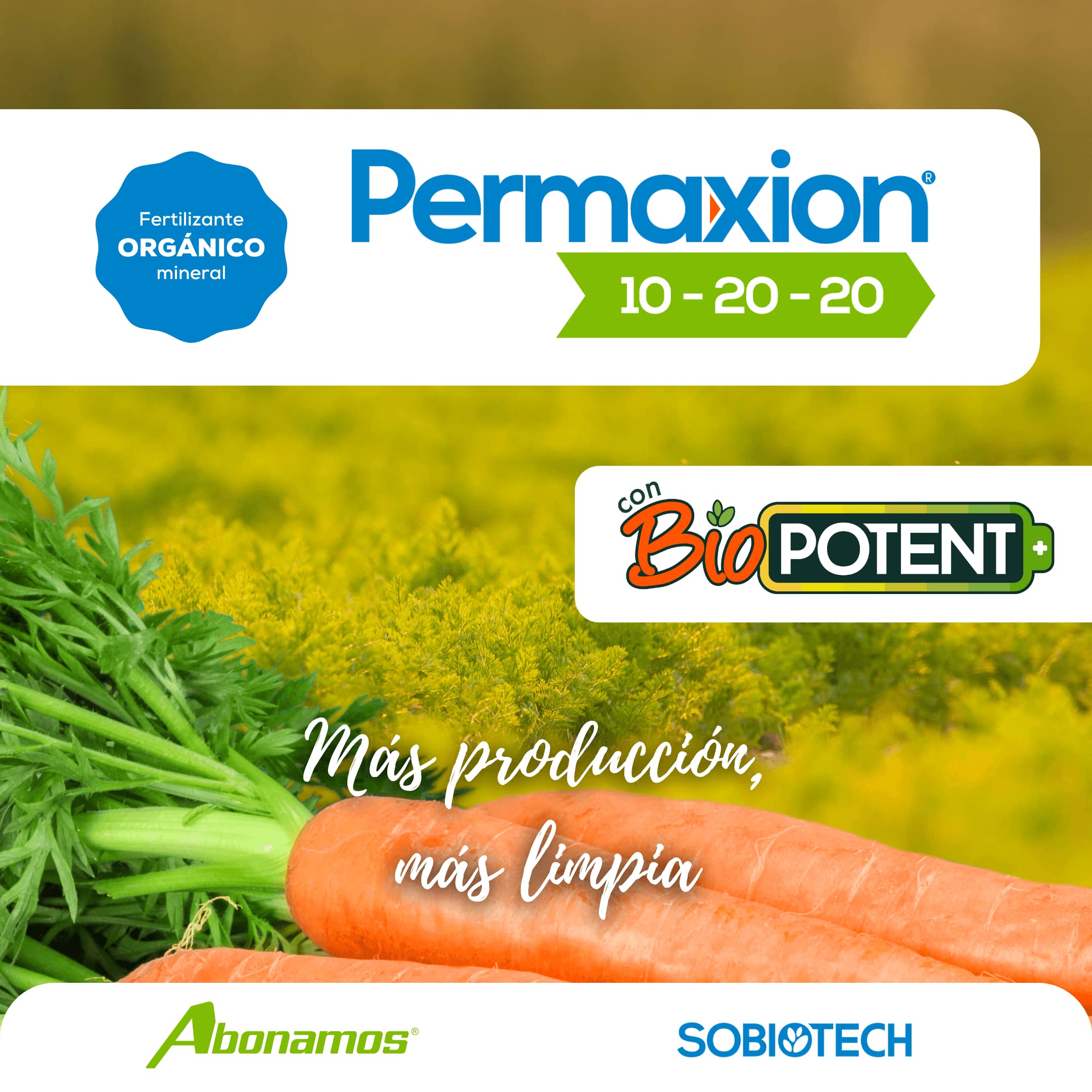 Permaxion 10-20-20 50Kg: fertilizante balanceado