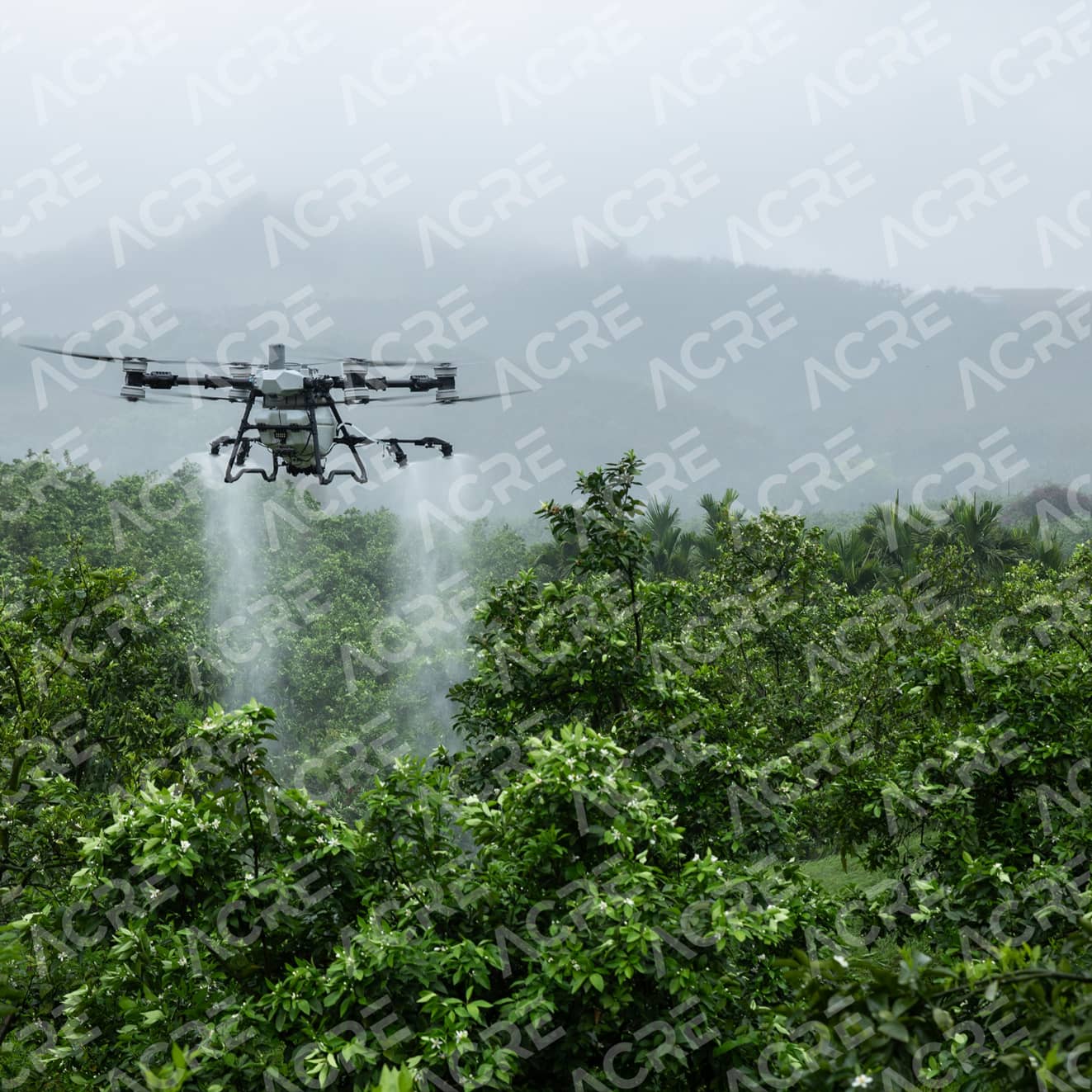 Combo Agrícola DJI AGRAS T100 | Dron 100 kg + 3 Baterías