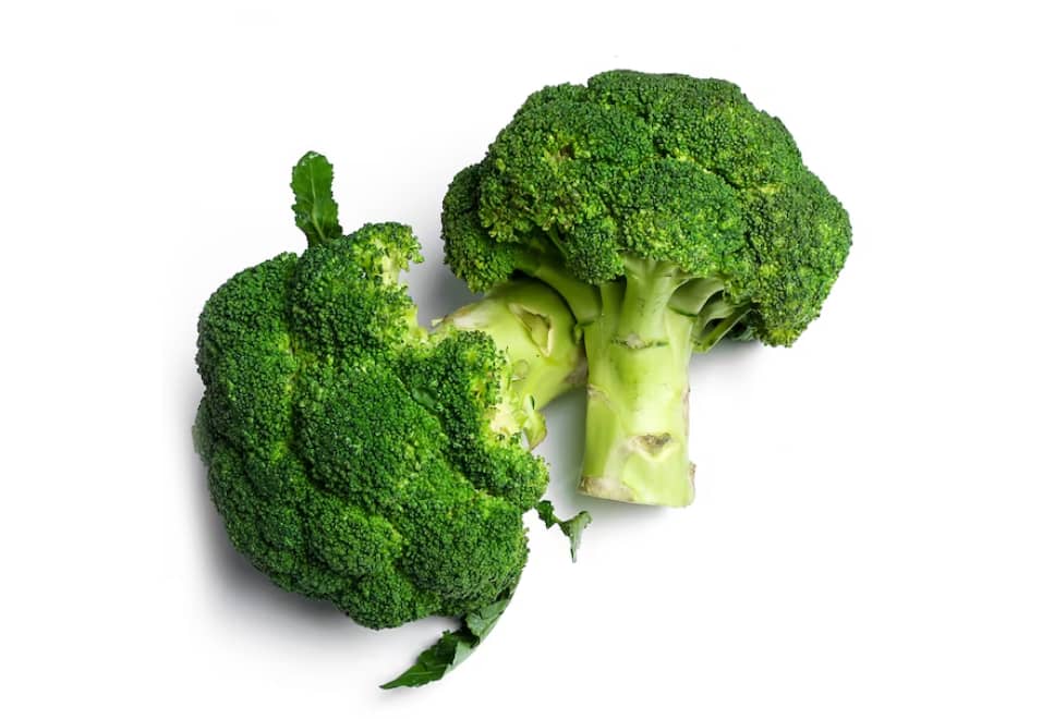 Venta de Brócoli Fresco