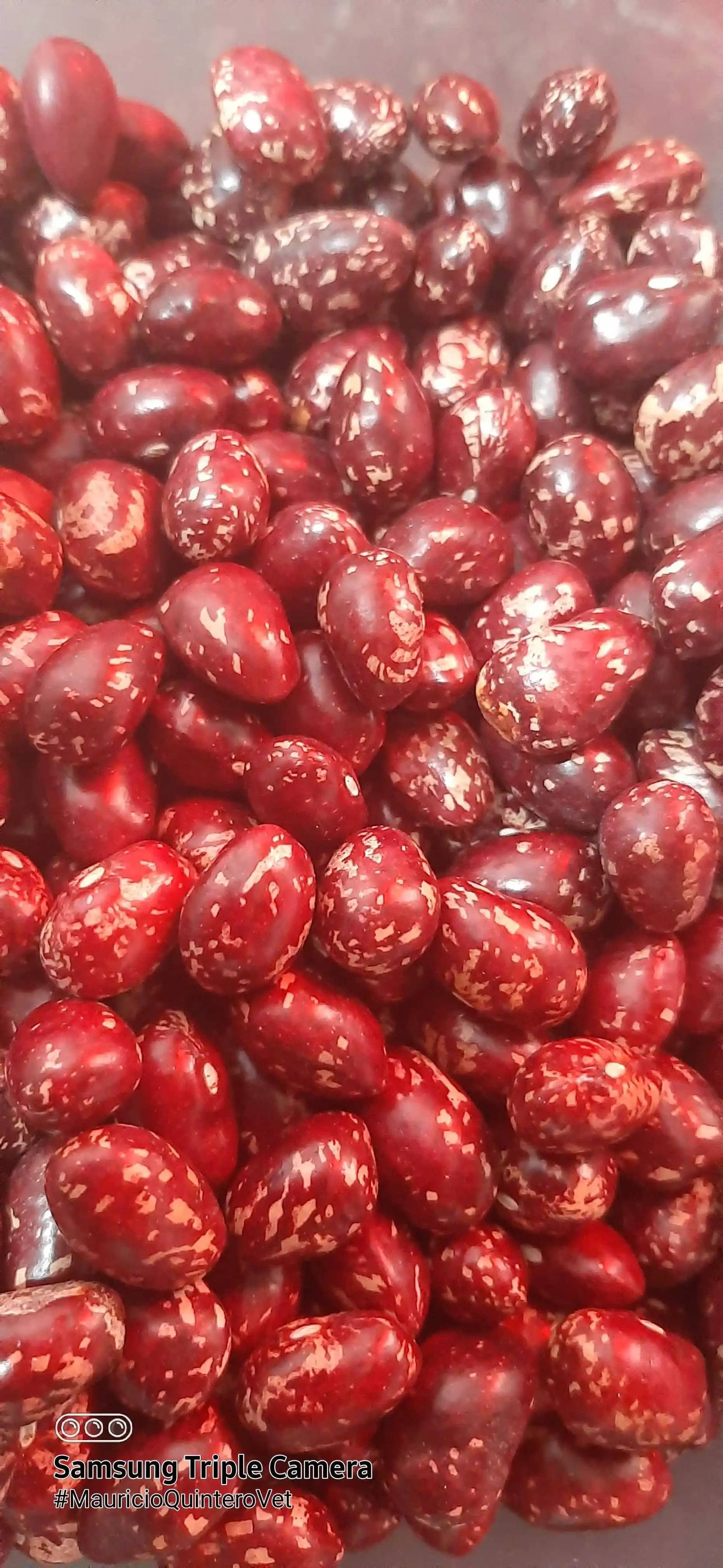 Venta de Frijol Antioqueño X 500 Gr y 1000 Gr