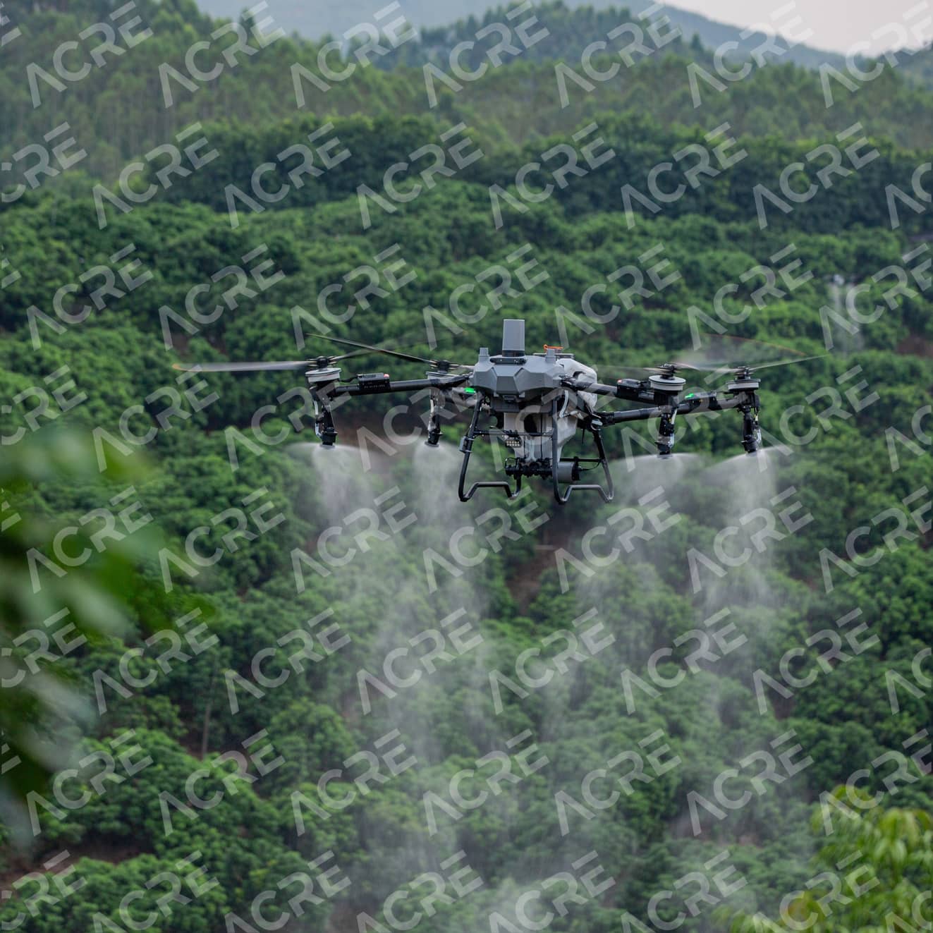 DJI Agras T70P: Dron Agrícola Eficiente y Versátil