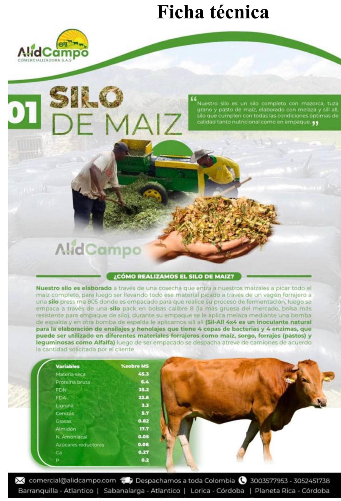 Silo de Maíz | Alimento Nutritivo para Ganado
