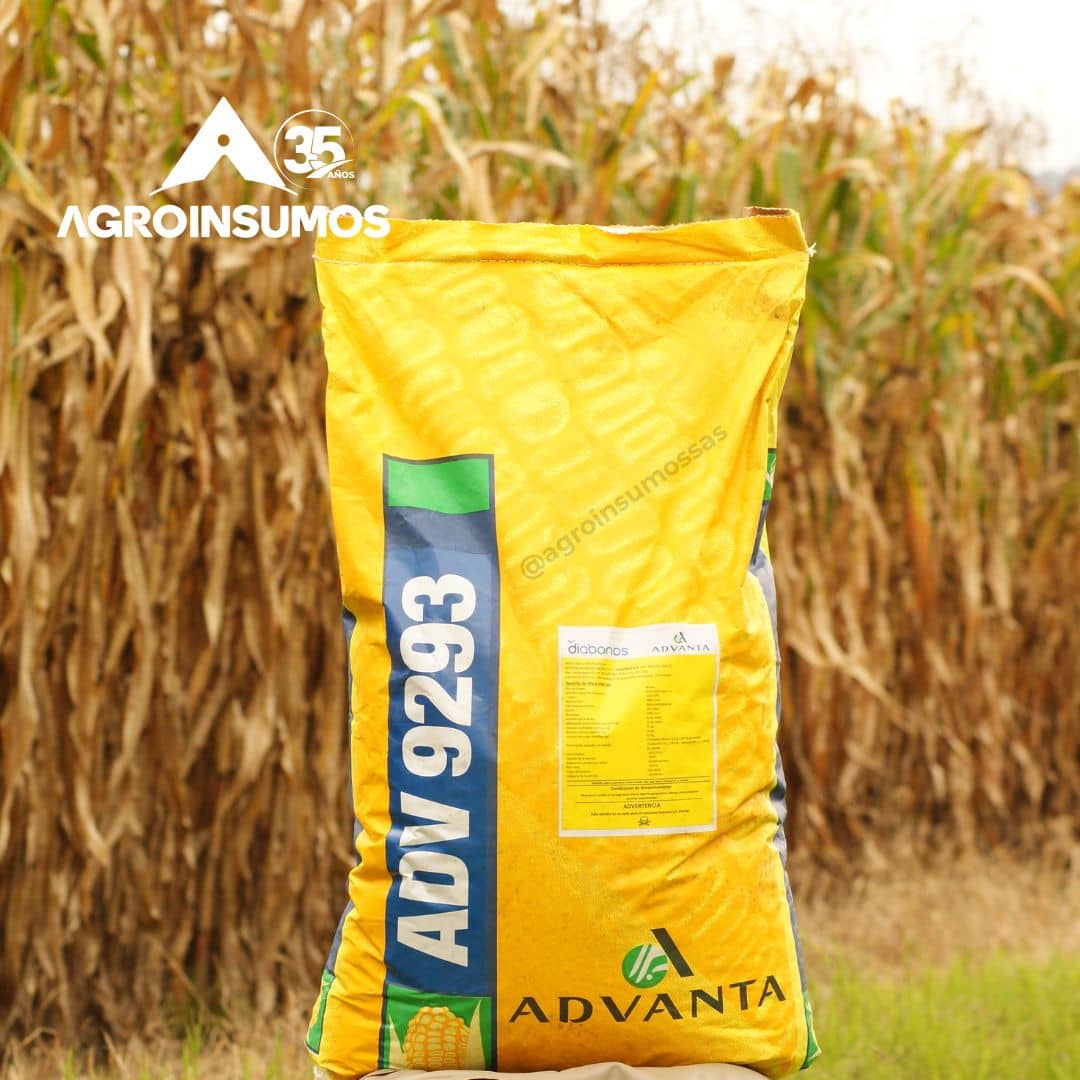 Semilla de Maíz Amarillo Convencional ADV 9293