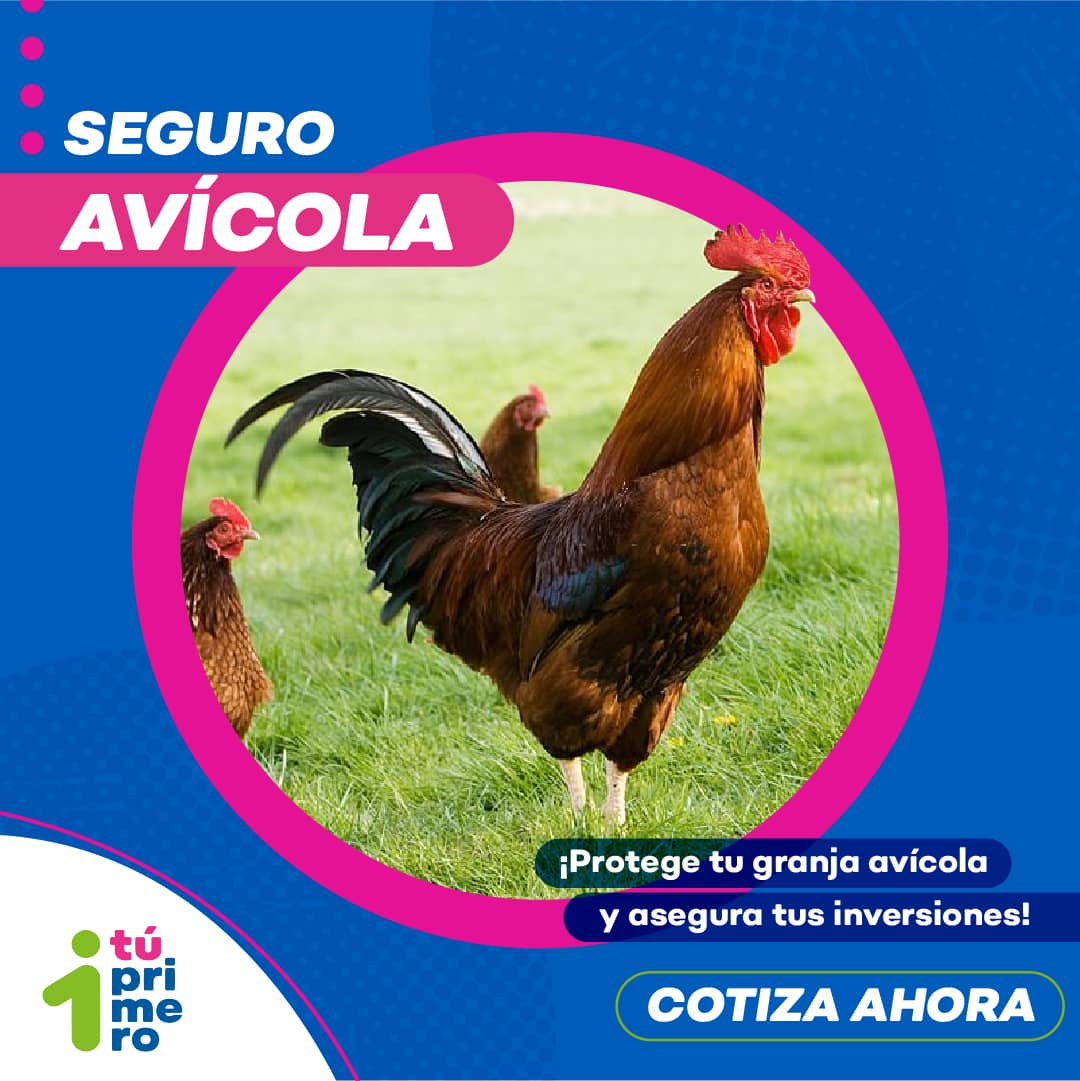Seguro Avícola