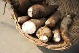Venta de yuca en bolsa X 1 kg