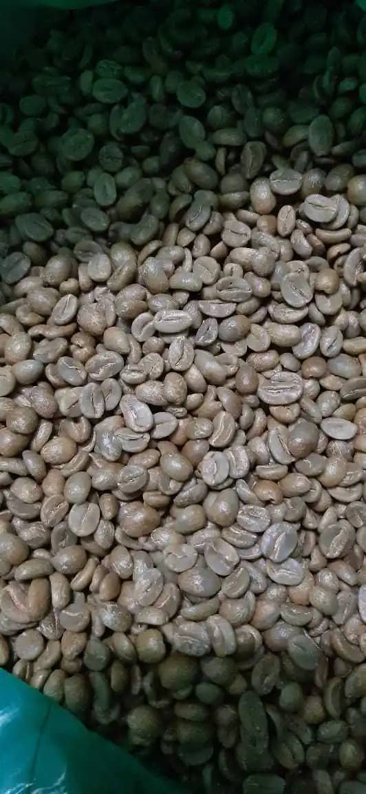 Venta de Café Lavado Olga Nelly Pareja Jardín Antioquia