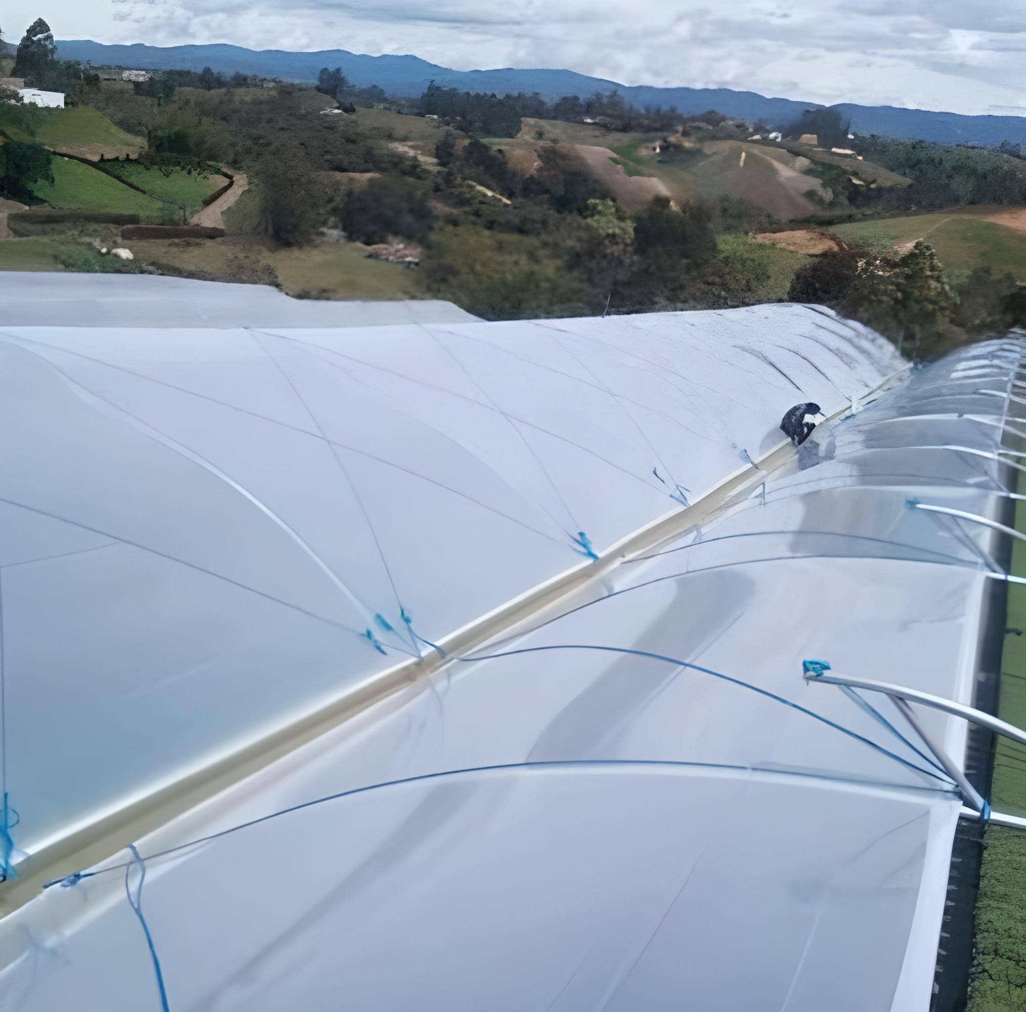 Soga Pisadora | Resistente