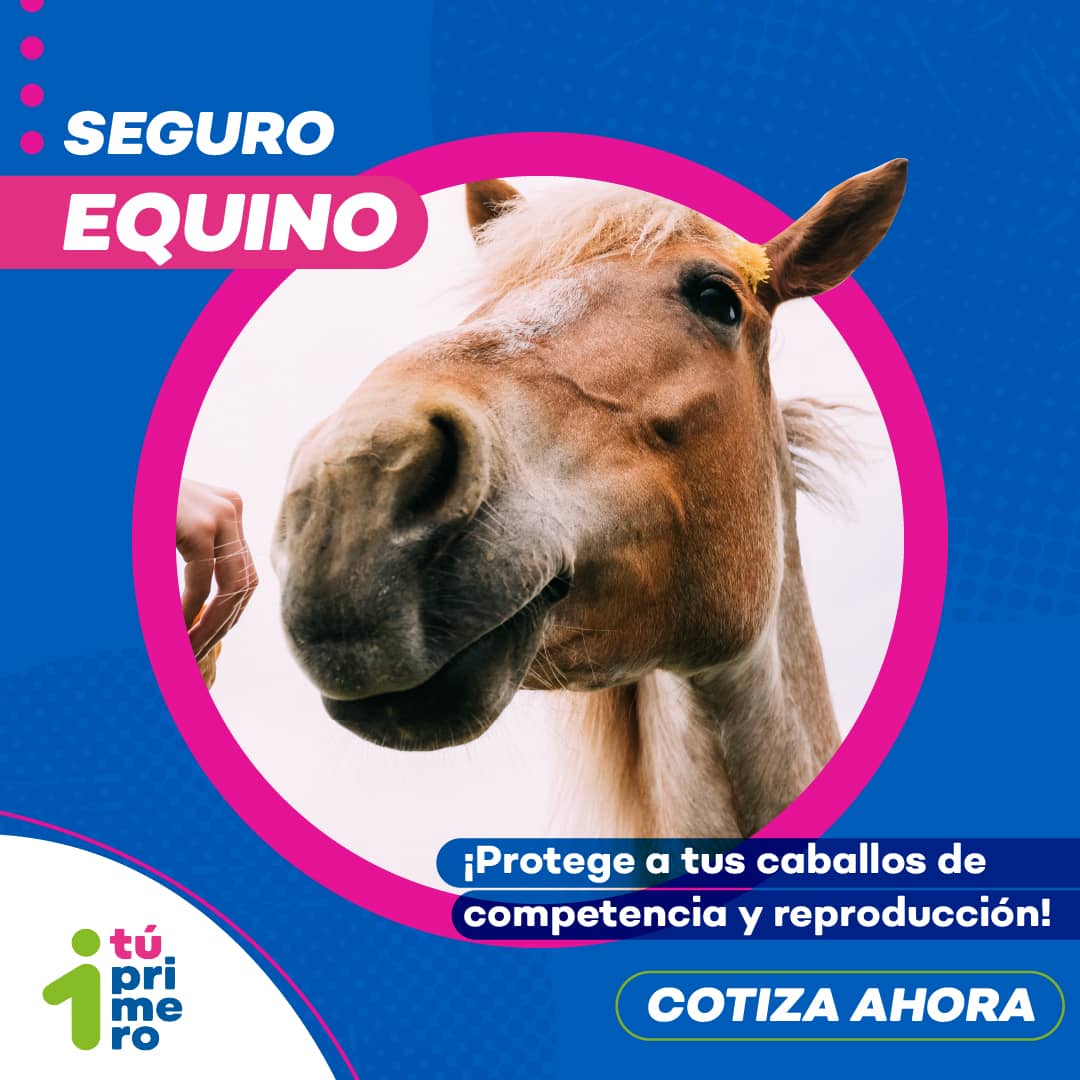 Seguro Equino