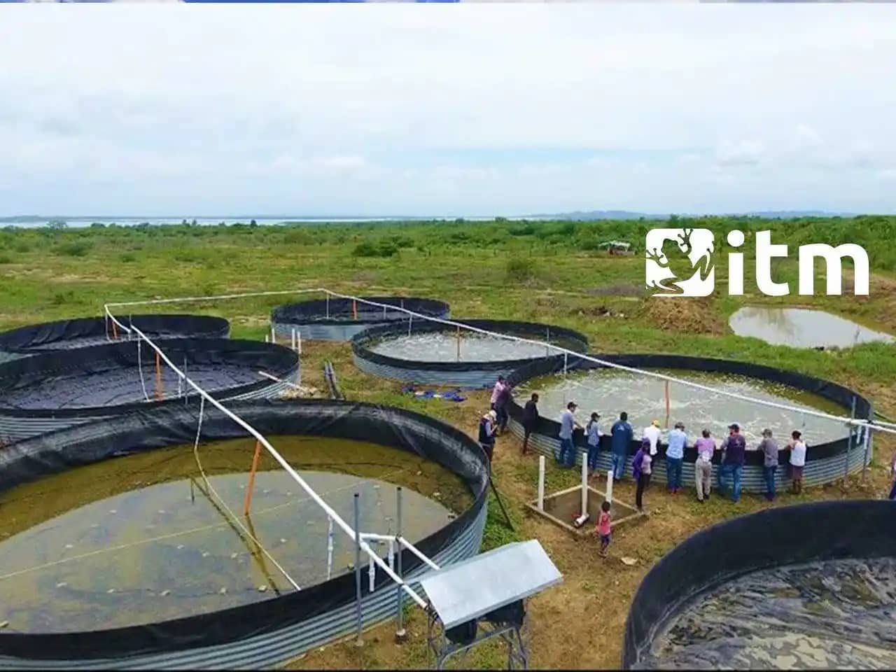 Piscitanque Piscícola - 32.000 L