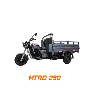 Motocarro de carga MTRD 250 | Potencia, estabilidad y carga